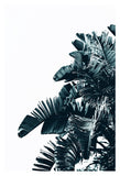 Cyan Palm #1 - Fine Art Photograph