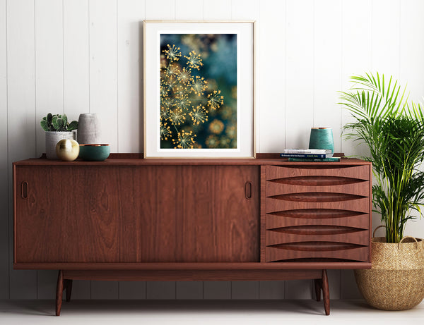 Dill #2 - Fine Art Photograph
