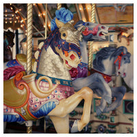 False Unicorn - Fine Art Photograph