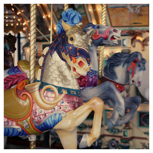 False Unicorn - Fine Art Photograph
