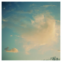 The Whale - Fine Art Photograph