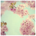Joyful - Fine Art Photograph