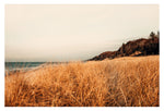Grassland #2 - Fine Art Photograph