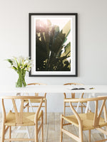 Green Heat - Fine Art Photograph