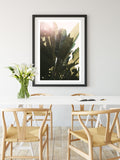 Green Heat - Fine Art Photograph