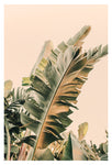 Growing Green - Fine Art Photograph