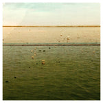 Lakeshore #3 - Fine Art Photograph