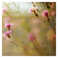 It Was A Wednesday - Fine Art Photograph