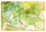 Key Lime Fine Art Print
