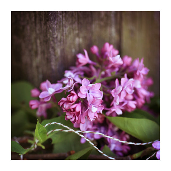 Wood & String - Fine Art Photograph