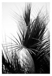 Line Up #3 - Fine Art Photograph