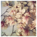 Lovelies - Fine Art Photograph