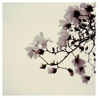 Luck Be A Lady - Fine Art Photograph - CM