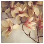 Fragile - Fine Art Photograph
