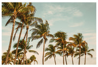 Miami Breeze - Fine Art Photograph