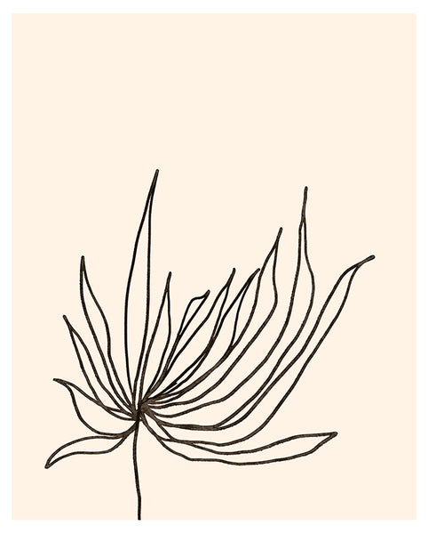 Minimal Floral #2 Fine Art Print