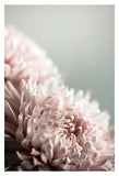 Modern Mum - Fine Art Photograph