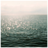 Morning In June -  Fine Art Photograph