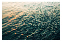 Noteworthy - Fine Art Photograph