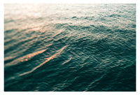 Observations - Fine Art Photograph