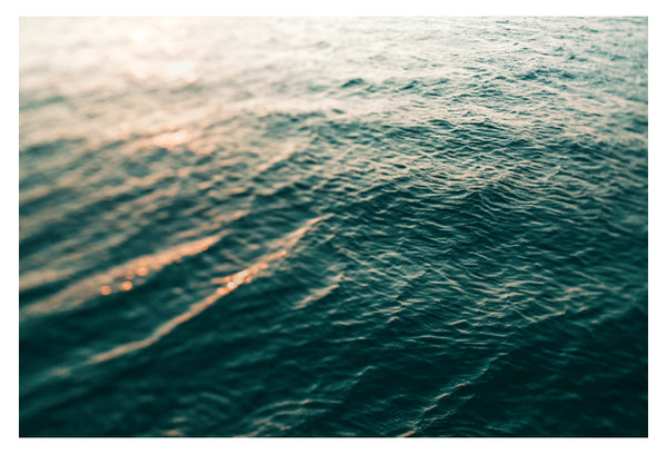 Observations - Fine Art Photograph