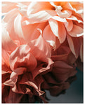Ombre Light - Fine Art Photograph