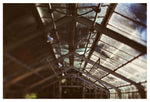 Greenhouse #2 - Fine Art Photograph