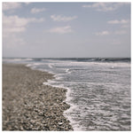 Oyster Shell #2-  Fine Art Photograph