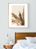 Pale Palm - Fine Art Photograph