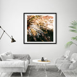 Palm Abstract #1 - Fine Art Photograph