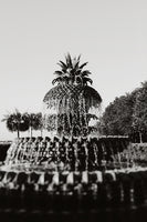 Pineapple Fountain #1 - Fine Art Photograph