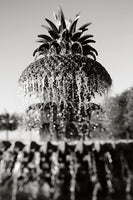 Pineapple Fountain #2 - Fine Art Photograph