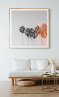 Pink Flare - Fine Art Photograph