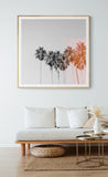 Pink Flare - Fine Art Photograph