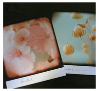Viewfinder Art Print