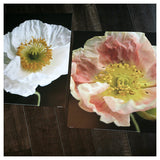 The Poppies: Art Prints