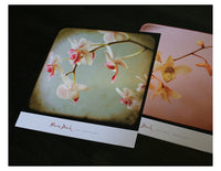 Viewfinder Art Print