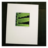 Green Leaf- 5"x5" Matted- Friday Outlet