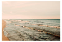 Rose Gold - Fine Art Photograph