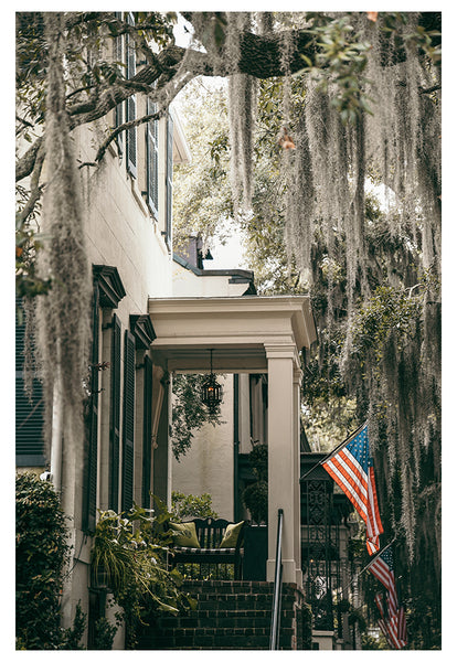 Savannah Morning #1 - Modern Photographic Print