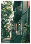 Savannah Morning #2 - Modern Photographic Print