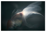 Light and Shadow #8 - Fine Art Photograph