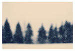 Snowday - Fine Art Photograph
