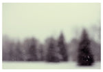 The Last Time It Snowed - Fine Art Photograph