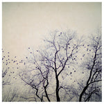 Flight Pattern - Fine Art Photograph