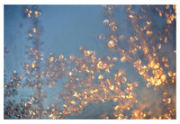 Lithe - Fine Art Photograph