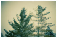 Snowday - Fine Art Photograph