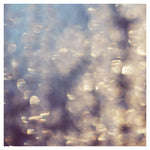 Ice - Fine Art Photograph
