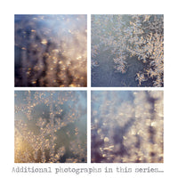 Illuminate - Fine Art Photograph