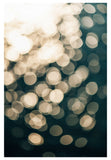 Solstice Sparkle - Fine Art Photograph - CM